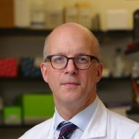 Director , Columbia ALS Center - Dr. Neil Shneider